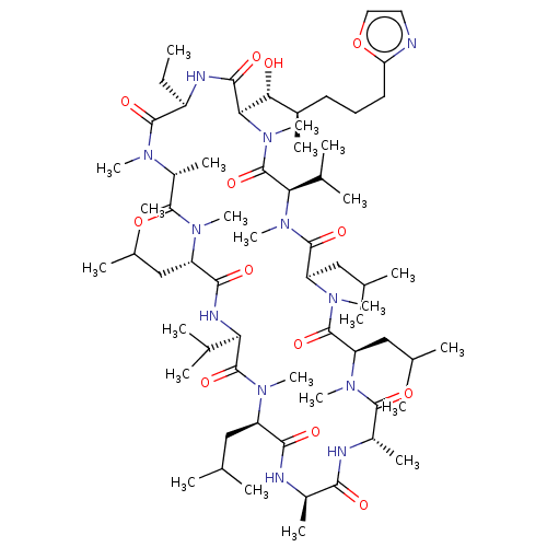 PNG