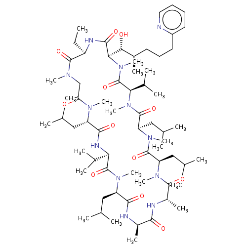 PNG