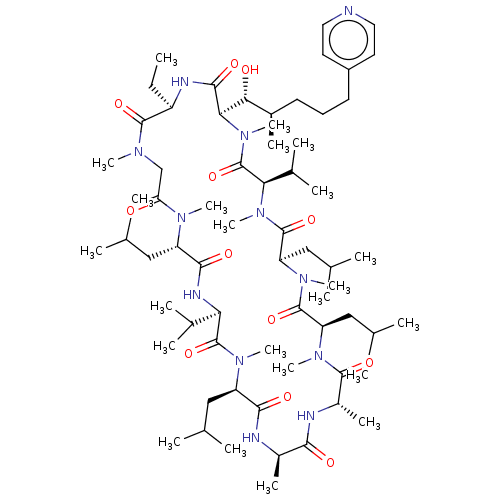PNG