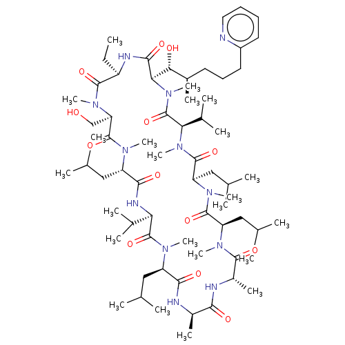 PNG