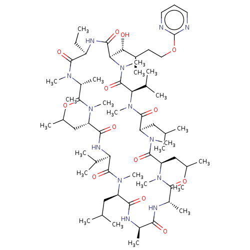 PNG
