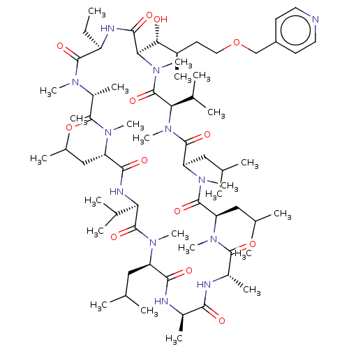 PNG