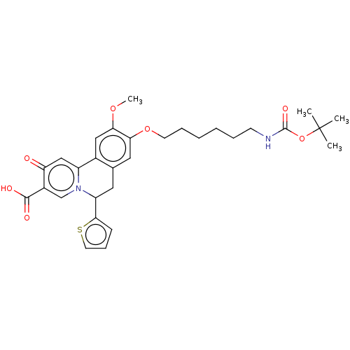 PNG