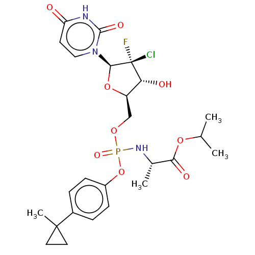 PNG
