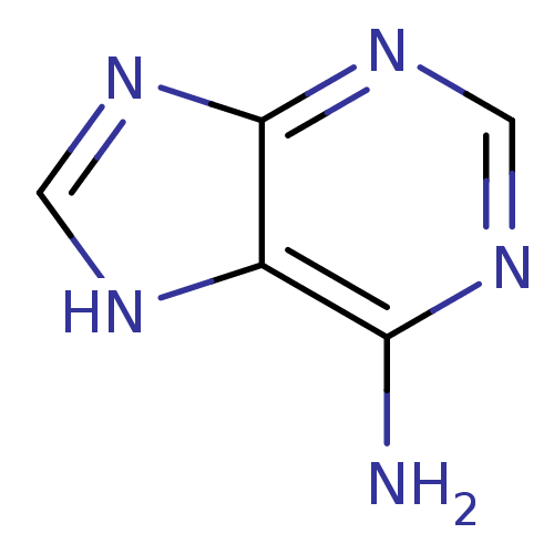 PNG