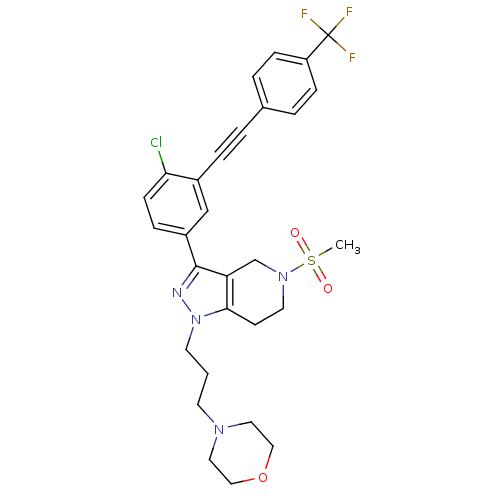PNG