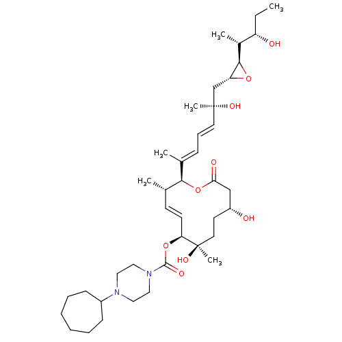 PNG