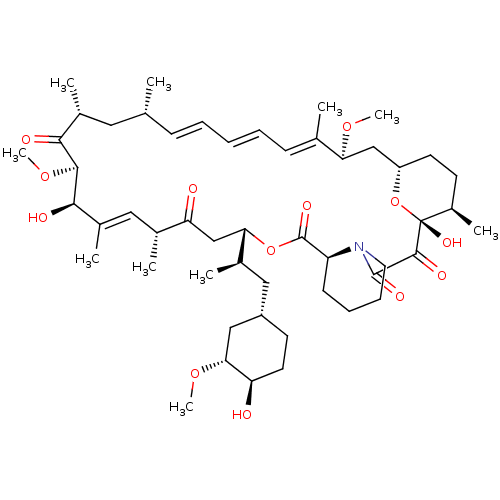 PNG