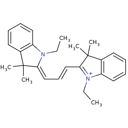 PNG