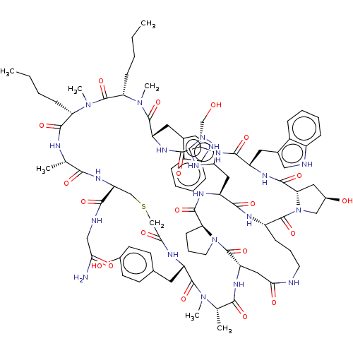 PNG