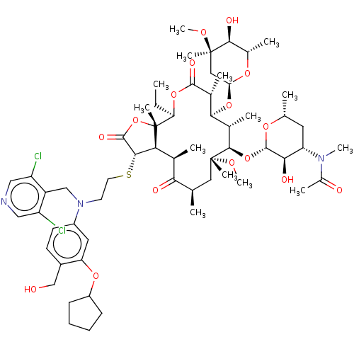 PNG