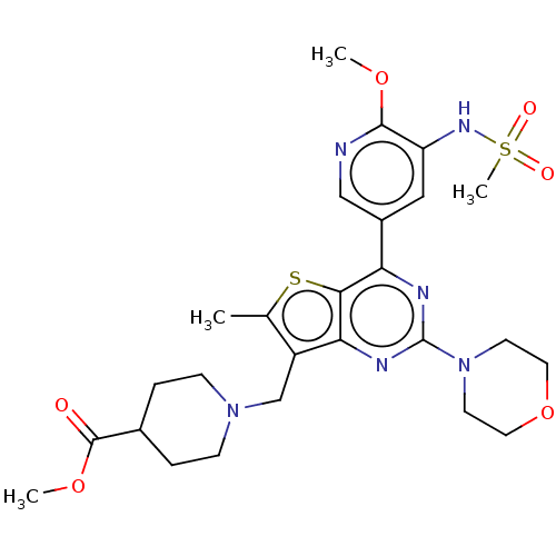 PNG