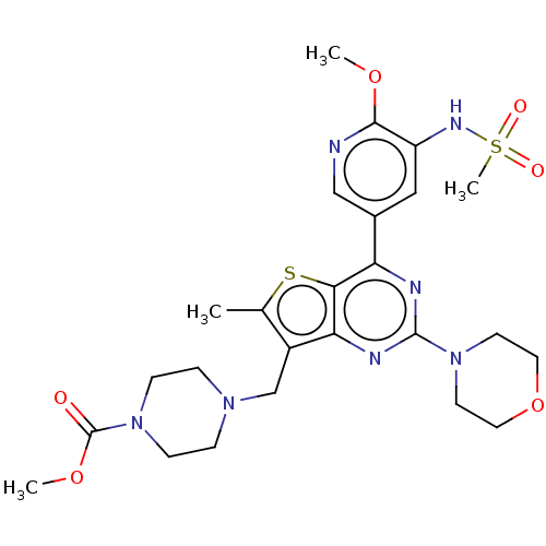 PNG
