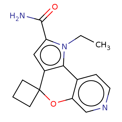 PNG