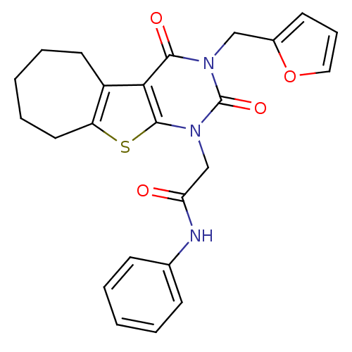 PNG