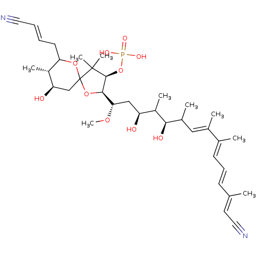 PNG