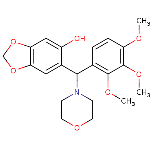 PNG