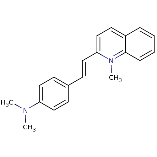 PNG