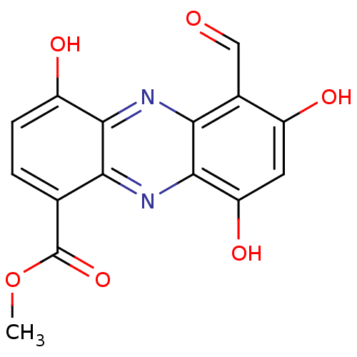 PNG