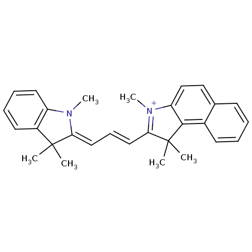 PNG