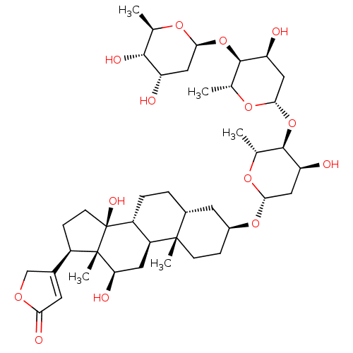 PNG
