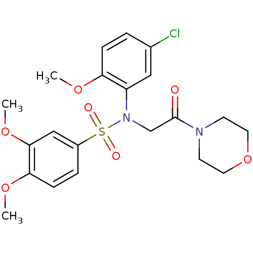 PNG