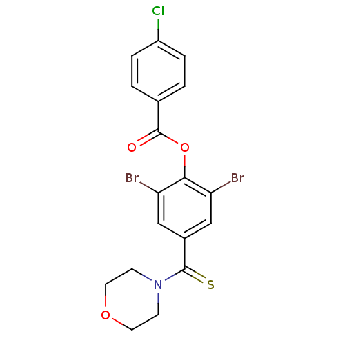 PNG