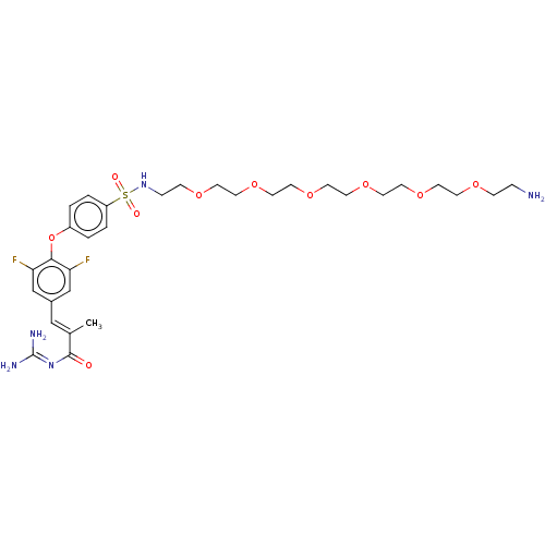 PNG