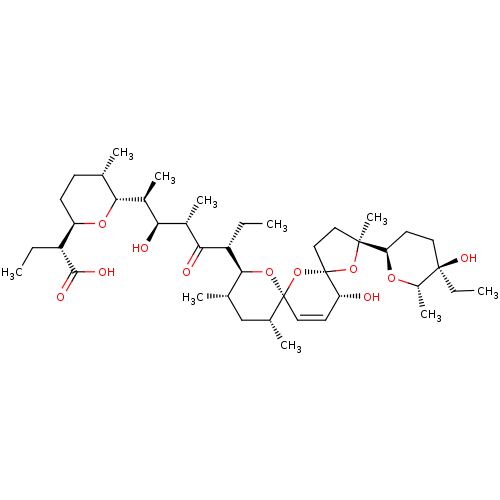 PNG