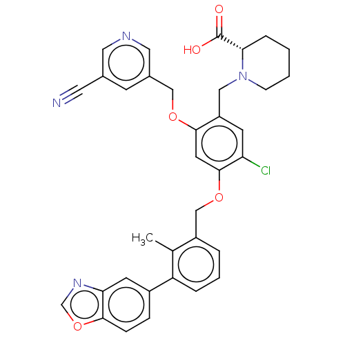 PNG