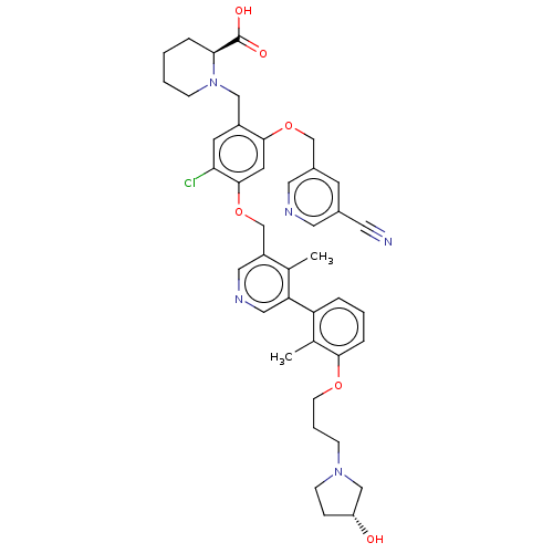 PNG
