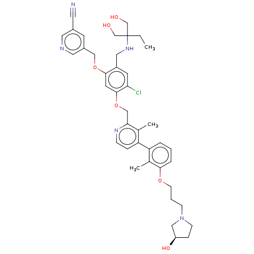 PNG