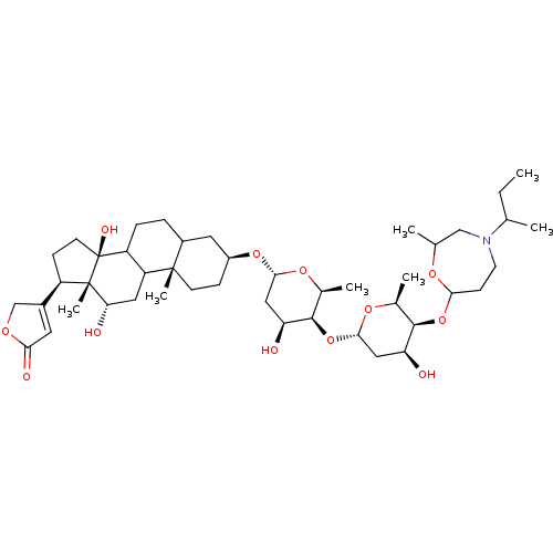 PNG