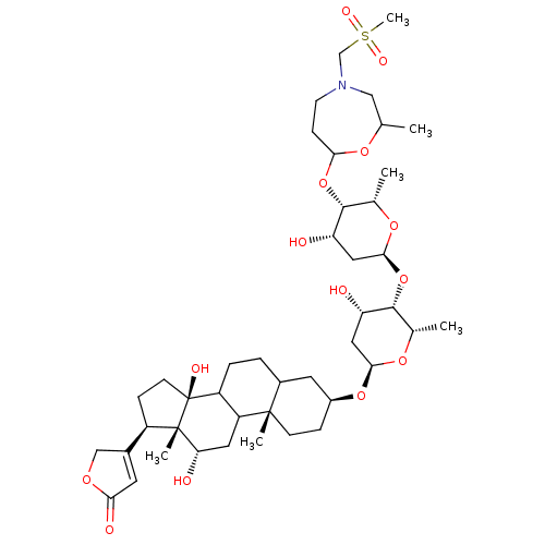 PNG