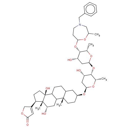 PNG
