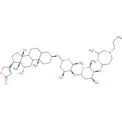 PNG