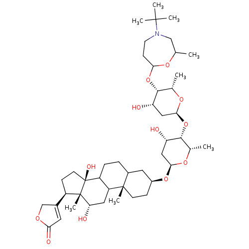 PNG