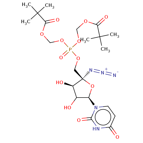 PNG