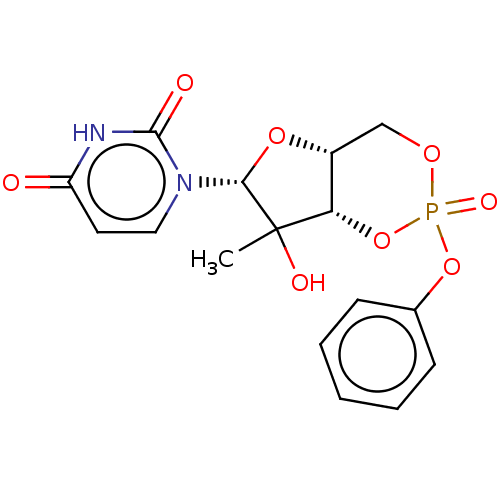 PNG