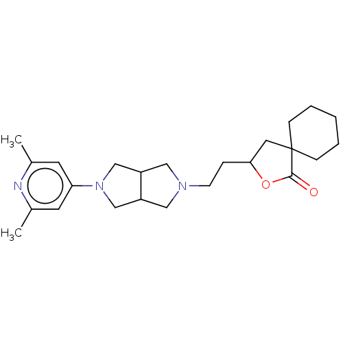 PNG