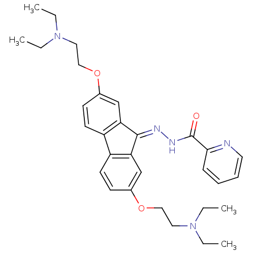 PNG