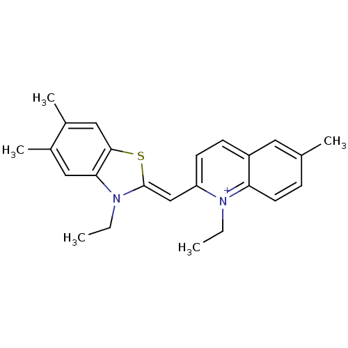 PNG