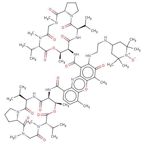 PNG