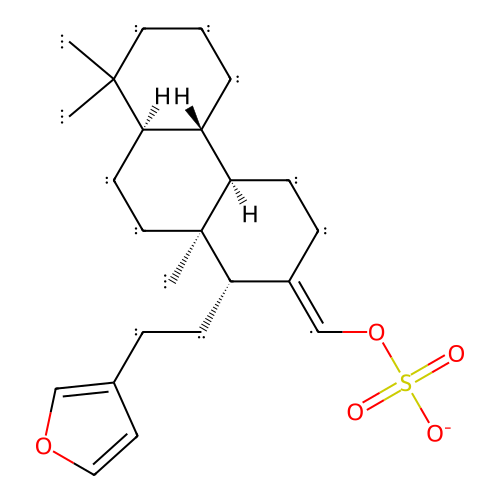 PNG