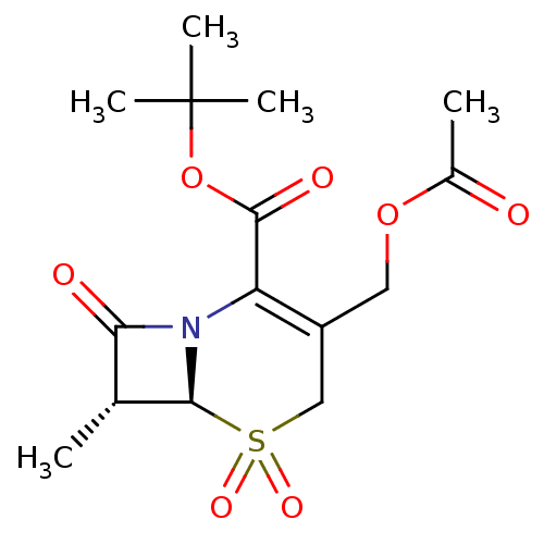 PNG