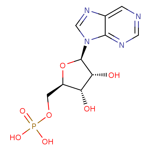 PNG