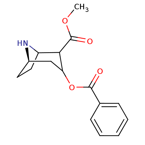 PNG