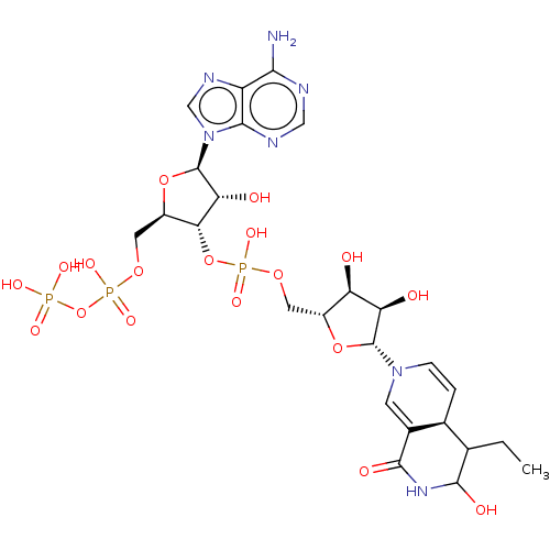 PNG