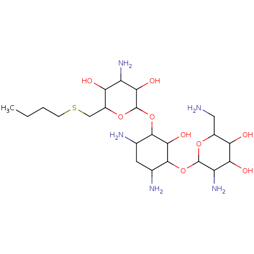 PNG