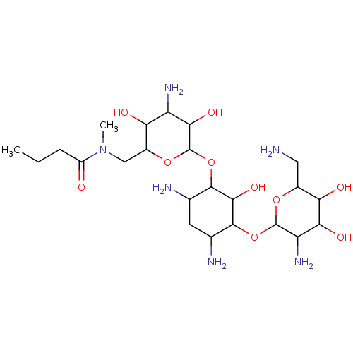 PNG